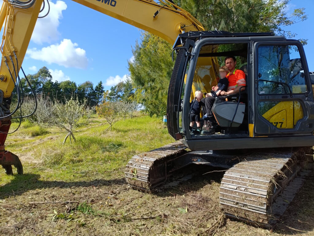 Digger clearing felled trees on a property