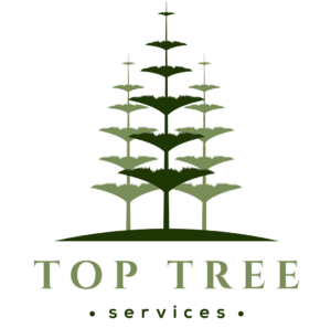 Top Tree Services