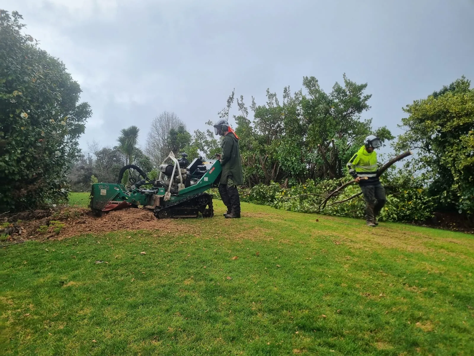 A tracked hydraulic stump grinder removing a stump